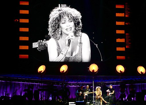 Tina Turner at Concert